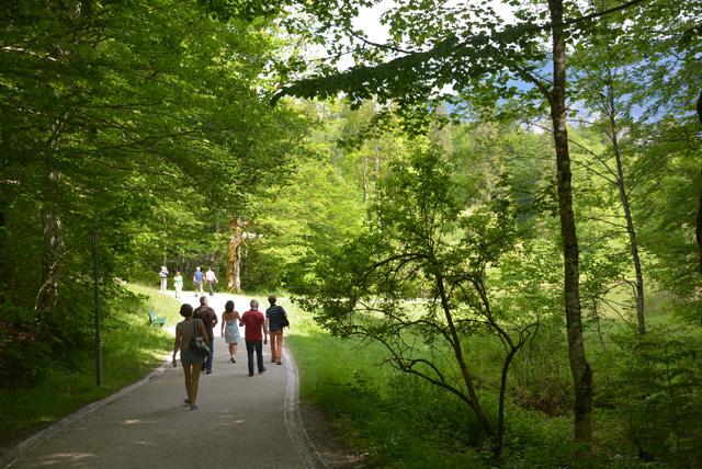min 2015 06 02 baviere 205